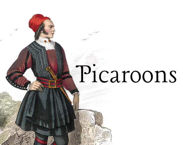 Picaroons Playkit and Supplements | Picaroons